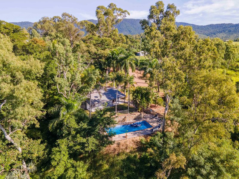 Photo - 34 Cutuli Road, Cannon Valley QLD 4800 - Image 24