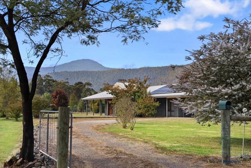 Photo - 34 Dyes Lane, Buxton VIC 3711 - Image 2
