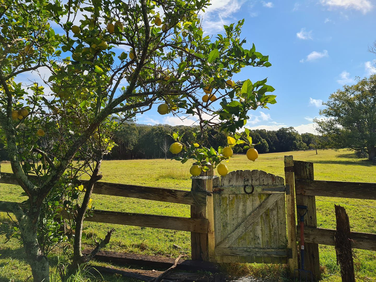 3-bedroom house at 34 HANNAM VALE ROAD, Moorland NSW 2443, Mid-Coast, New South Wales