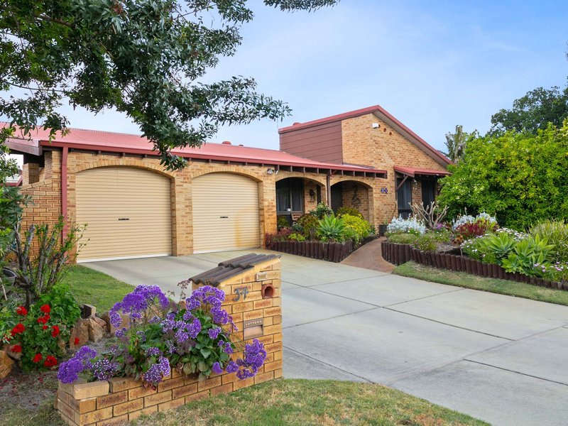 Photo - 34 Hetherington Drive, Bull Creek WA 6149 - Image 3