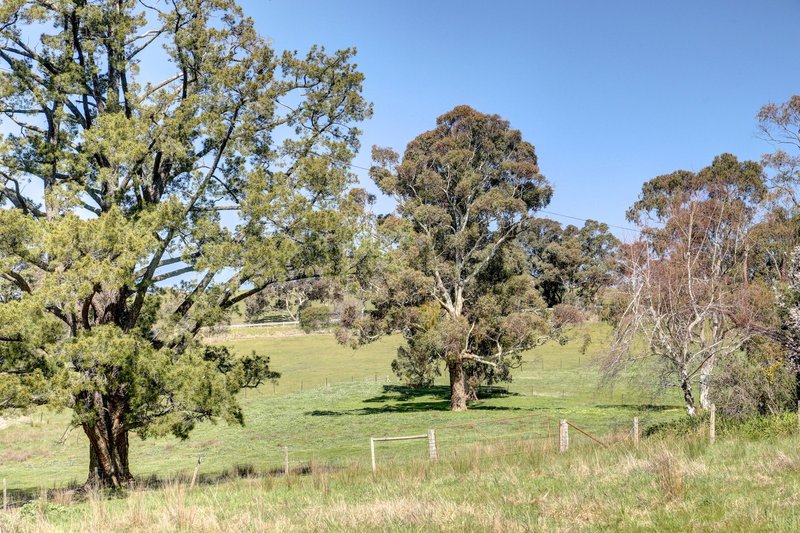 Photo - 34 Ironbank Road, Upper Sturt SA 5156 - Image 6