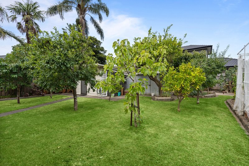 Photo - 34 Jubilee Street, Mount Waverley VIC 3149 - Image 14