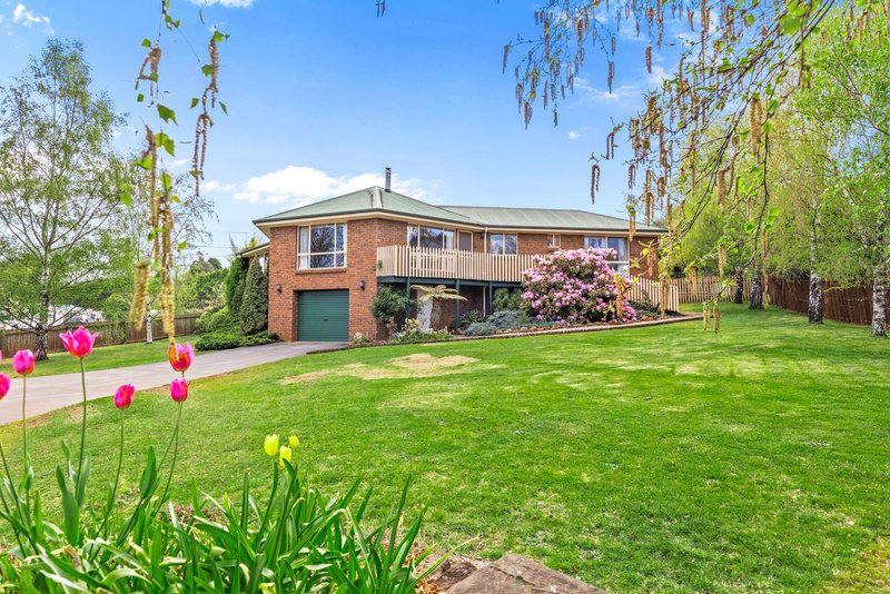 Photo - 34 Lansdowne Place, Deloraine TAS 7304 - Image 3