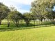 Photo - 34 Lazzarini Drive, Harrington NSW 2427 - Image 6