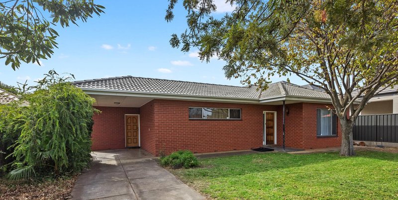 Photo - 34 Melton Street, Glenelg East SA 5045 - Image 4