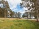 Photo - 34 Millfield Road, Paxton NSW 2325 - Image 6