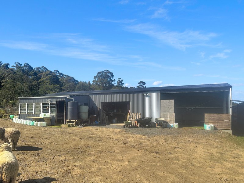 Photo - 34 Mount Elephant Road, Gray TAS 7215 - Image 35