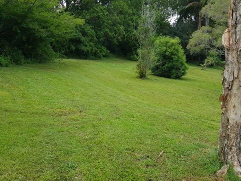 Photo - 34 Old Gympie Road, Yandina QLD 4561 - Image 6