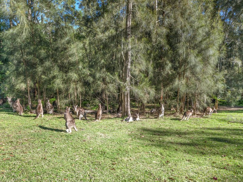 Photo - 34 River Road, Sussex Inlet NSW 2540 - Image 12