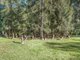 Photo - 34 River Road, Sussex Inlet NSW 2540 - Image 12