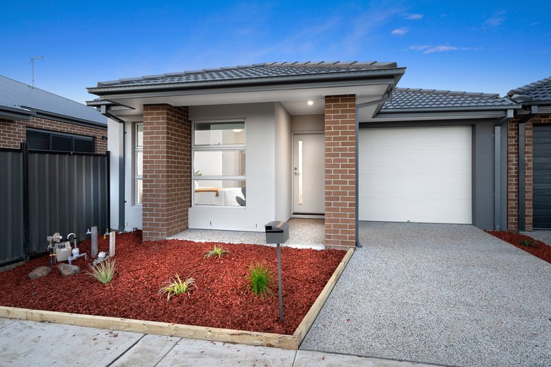 34 Scaevola Road, Craigieburn VIC 3064