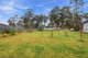 Photo - 34 Schell Street, Rossarden TAS 7213 - Image 10
