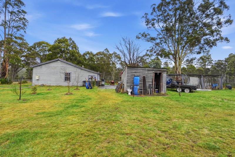 Photo - 34 Schell Street, Rossarden TAS 7213 - Image 12