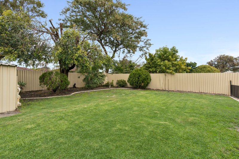 Photo - 34 Shamrock Way, Huntingdale WA 6110 - Image 4