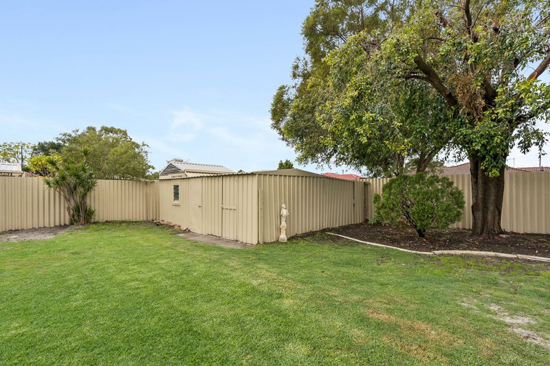 Photo - 34 Shamrock Way, Huntingdale WA 6110 - Image 6