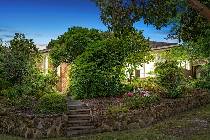 34 Sonia Street, Ringwood VIC 3134