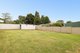 Photo - 34 Wellbank Street, Concord NSW 2137 - Image 13