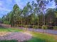 Photo - 34 Willow Tree Drive, Reedy Creek QLD 4227 - Image 8