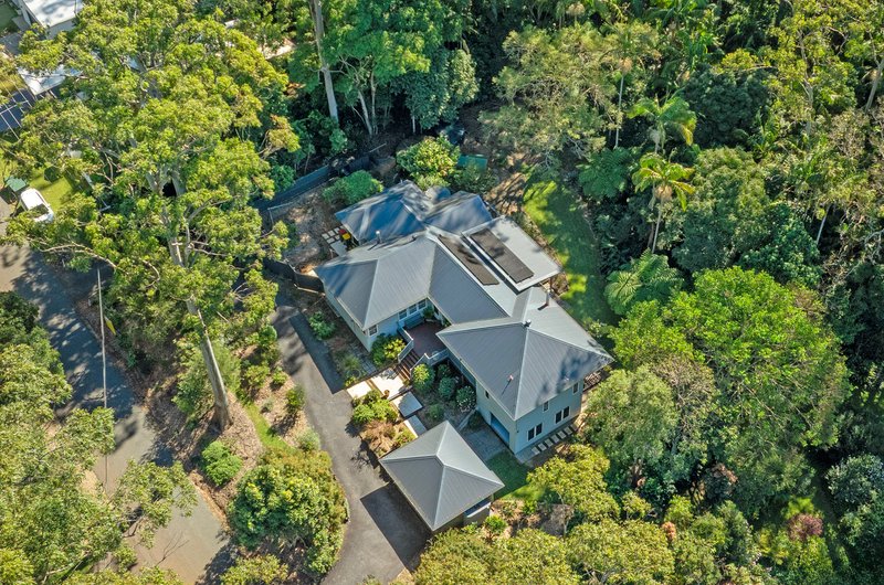 Photo - 34 Wongawallan Road, Tamborine Mountain QLD 4272 - Image 30