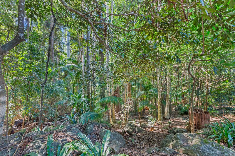 Photo - 34 Wongawallan Road, Tamborine Mountain QLD 4272 - Image 31