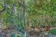 Photo - 34 Wongawallan Road, Tamborine Mountain QLD 4272 - Image 31