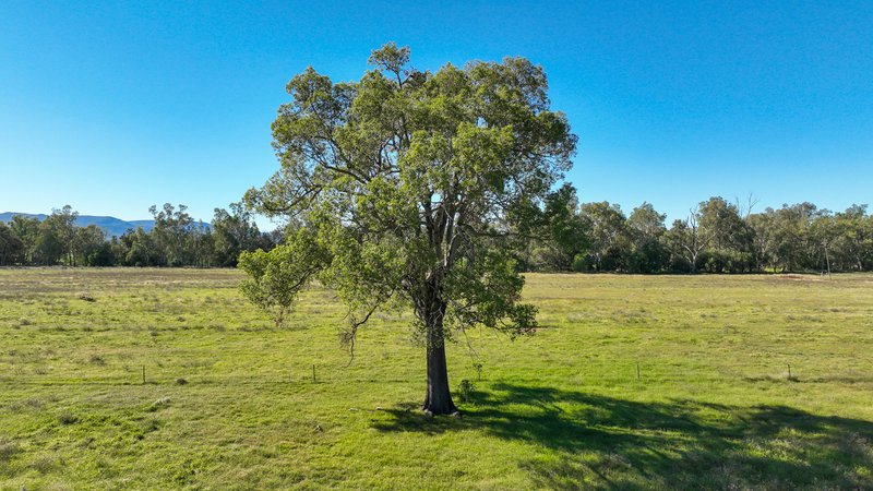 Photo - 340 Black Mountain Creek Road, Boggabri NSW 2382 - Image 2