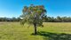 Photo - 340 Black Mountain Creek Road, Boggabri NSW 2382 - Image 14