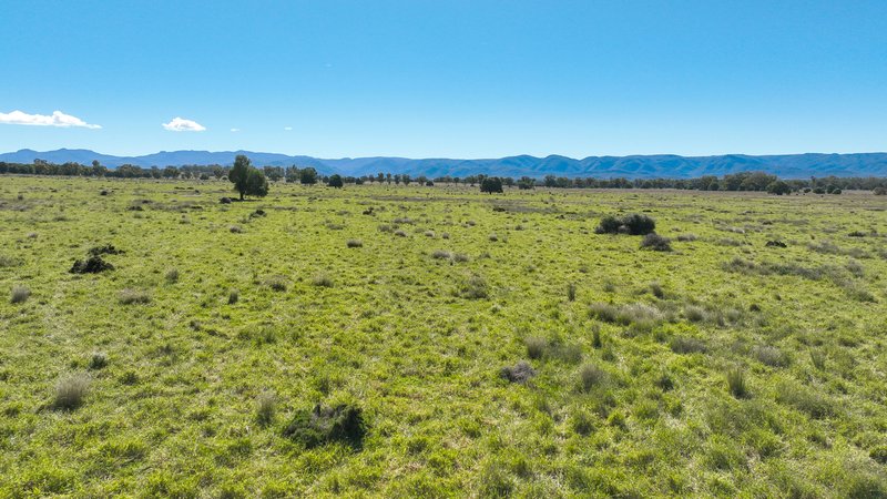 Photo - 340 Black Mountain Creek Road, Boggabri NSW 2382 - Image 18