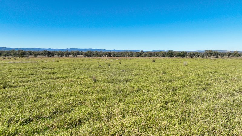 Photo - 340 Black Mountain Creek Road, Boggabri NSW 2382 - Image 19