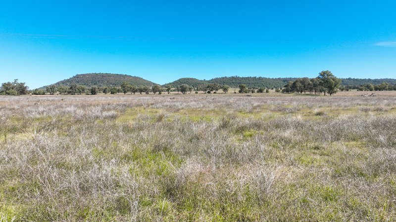 Photo - 340 Black Mountain Creek Road, Boggabri NSW 2382 - Image 20