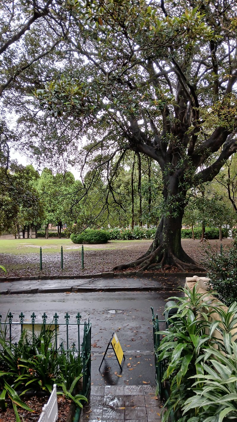 Photo - 3/40 The Avenue, Randwick NSW 2031 - Image 6