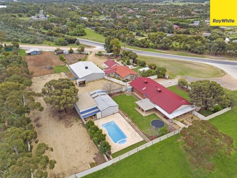 Photo - 341 Twartz Road, Gawler Belt SA 5118 - Image 4