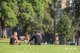 Photo - 3414/601 Little Lonsdale Street, Melbourne VIC 3000 - Image 23