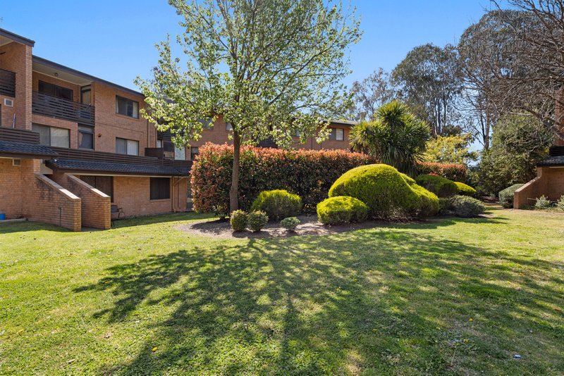 Photo - 34/17 Medley Street, Chifley ACT 2606 - Image 16