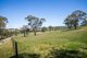 Photo - 342 Klenke Road, Red Creek SA 5255 - Image 23