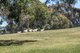 Photo - 342 Klenke Road, Red Creek SA 5255 - Image 24