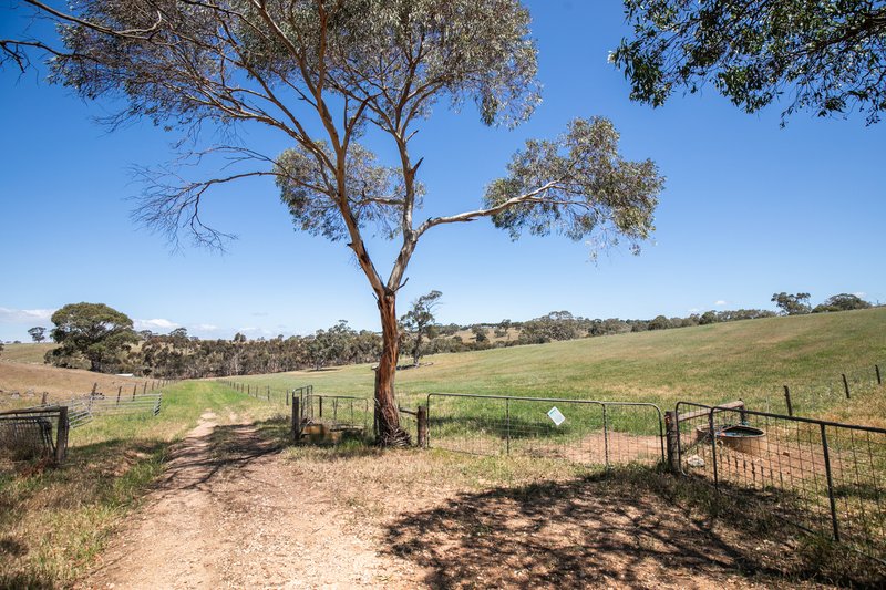 Photo - 342 Klenke Road, Red Creek SA 5255 - Image 26