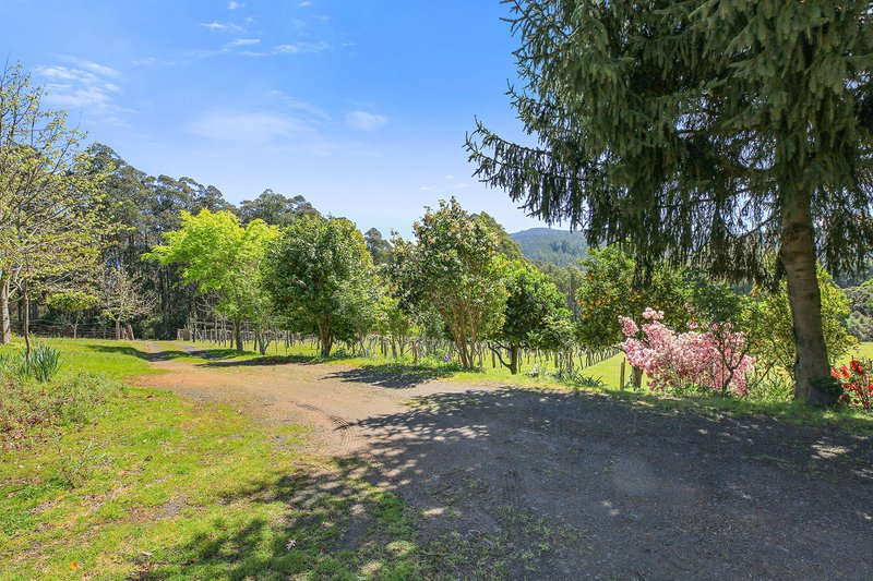 Photo - 3424 Yarra Junction - Noojee Road, Piedmont VIC 3833 - Image 2