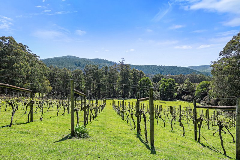 Photo - 3424 Yarra Junction - Noojee Road, Piedmont VIC 3833 - Image 3