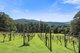 Photo - 3424 Yarra Junction - Noojee Road, Piedmont VIC 3833 - Image 3
