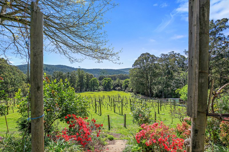 Photo - 3424 Yarra Junction - Noojee Road, Piedmont VIC 3833 - Image 4