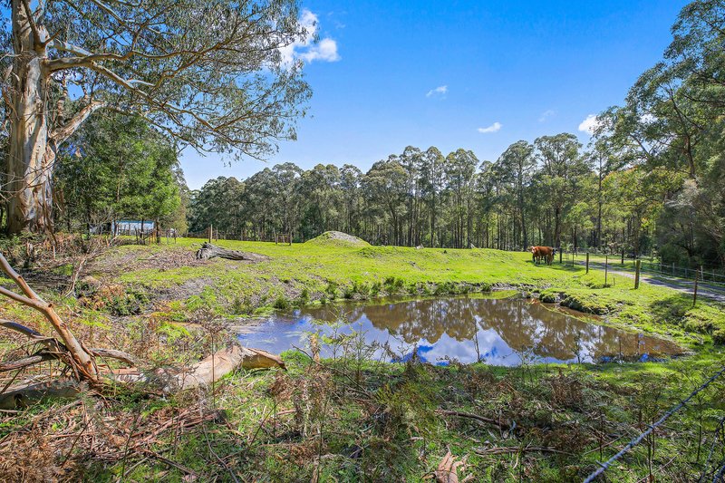 Photo - 3424 Yarra Junction - Noojee Road, Piedmont VIC 3833 - Image 15