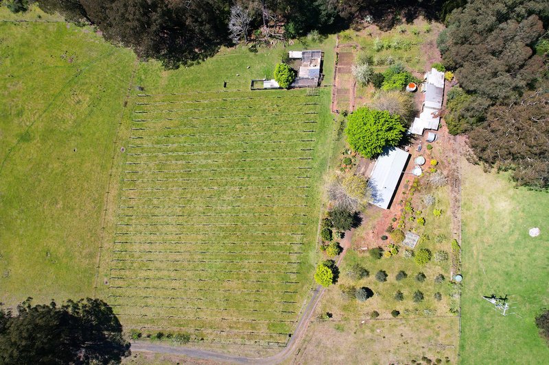 Photo - 3424 Yarra Junction - Noojee Road, Piedmont VIC 3833 - Image 16