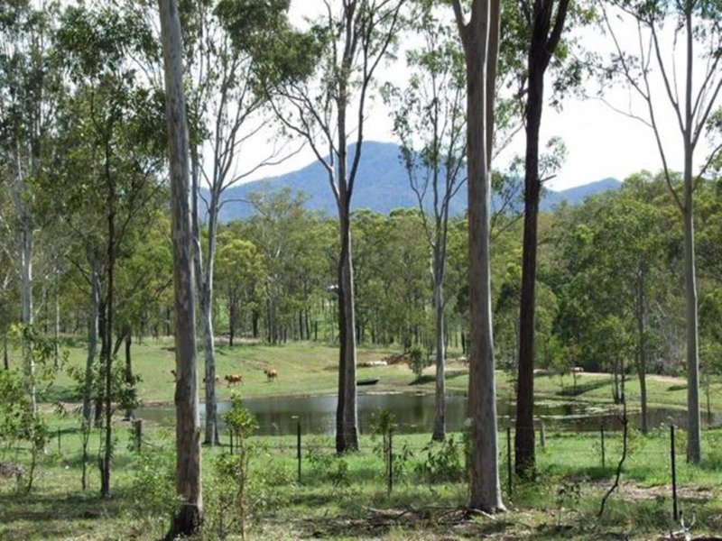 343 Dude Ranch Road, Iveragh QLD 4680