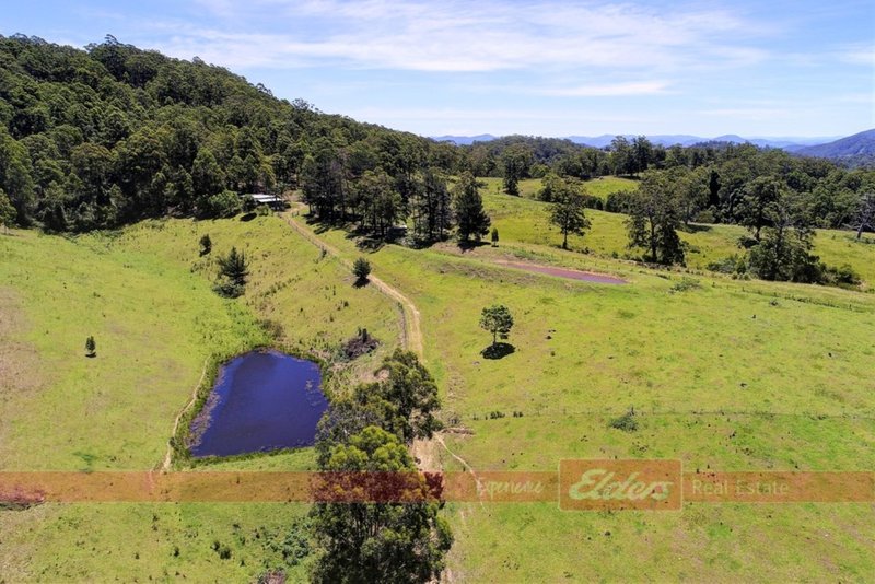 Photo - 344 Dees Road, Belbora NSW 2422 - Image 20