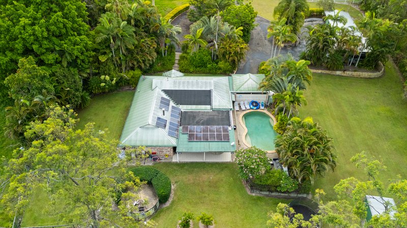 Photo - 345-355 Holloway Road, Chambers Flat QLD 4133 - Image 4