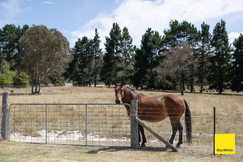 Photo - 345 Weeroona Drive, Wamboin NSW 2620 - Image 33