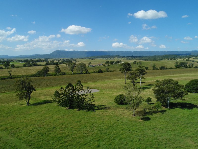 Photo - 3459B Beaudesert Beenleigh Road, Tabragalba QLD 4285 - Image 9