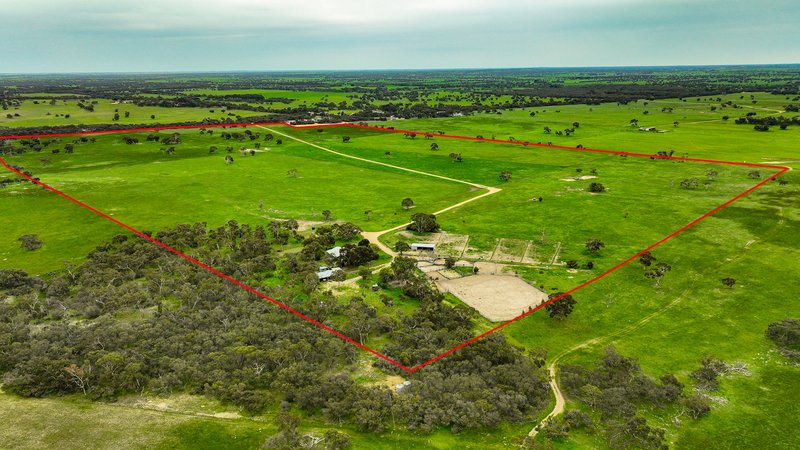 3467 Riddoch Highway, Willalooka SA 5267