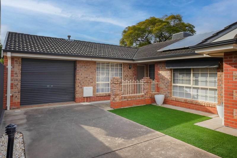 Photo - 3/47 Elizabeth Street, Torrensville SA 5031 - Image 1